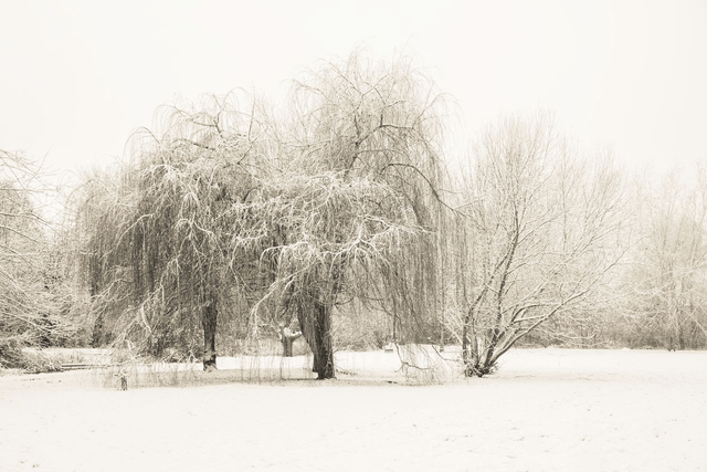 Whispers Of Winter