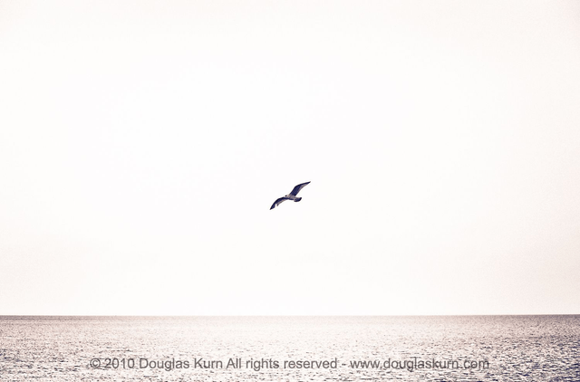 In flight, Skerries