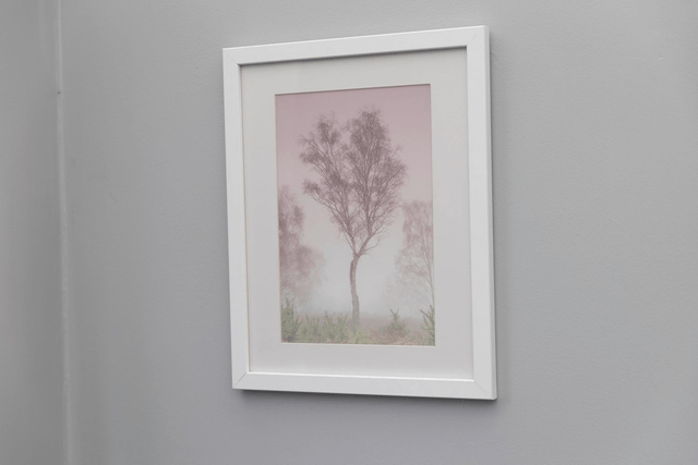 Pink Misty Tree