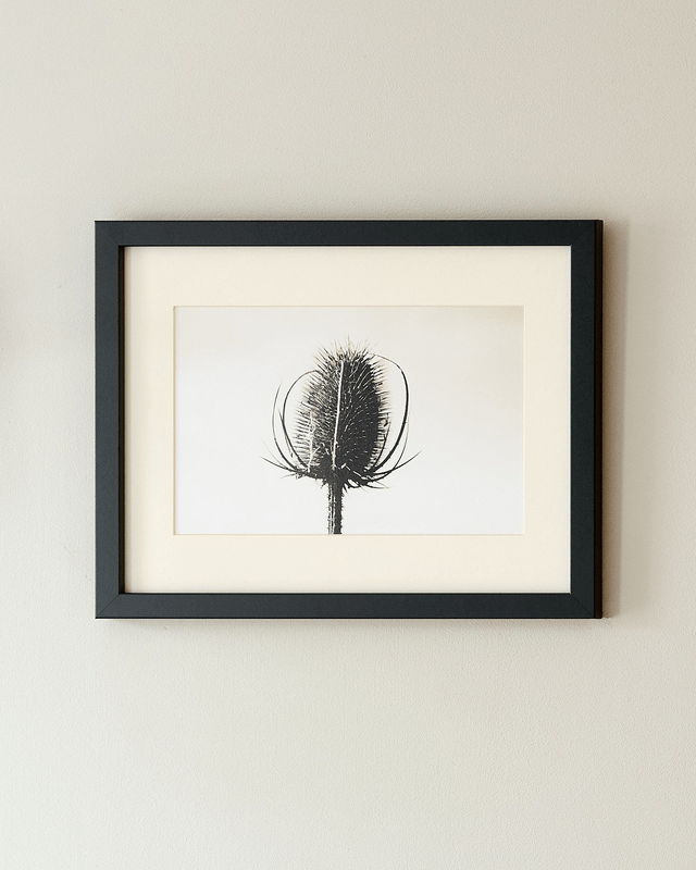 Teasle - Framed Print 15 ¼" x 12 ¼"