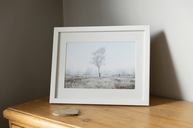 Hoar Frost Tree