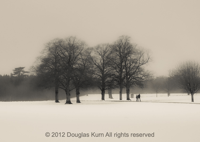 Blenheim Snow