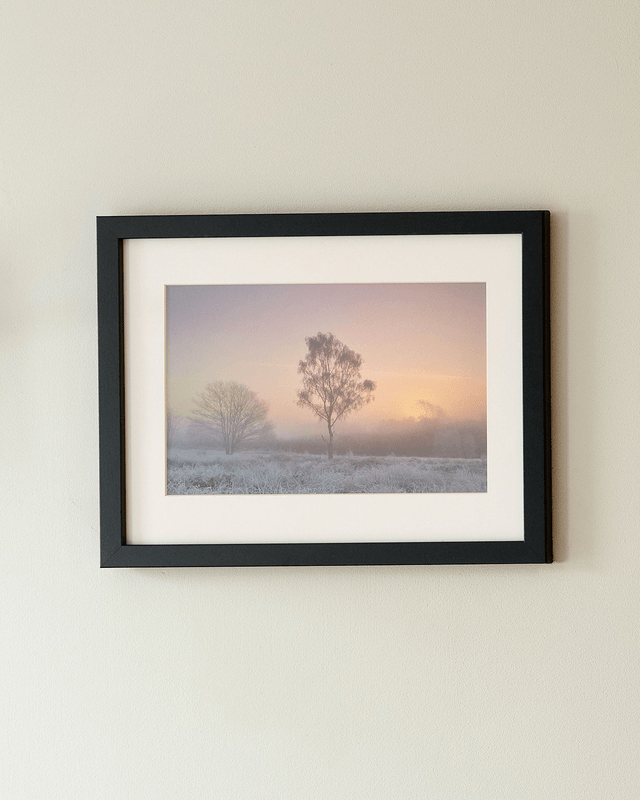 Chobham Common Sunrise - Framed Print 15 ¼" x 12 ¼"