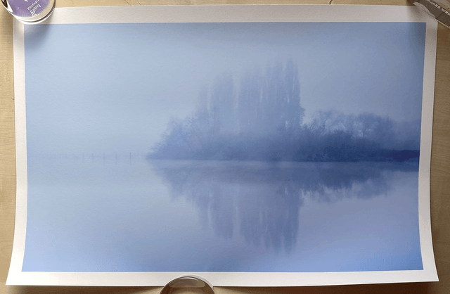 Misty Tree Reflection