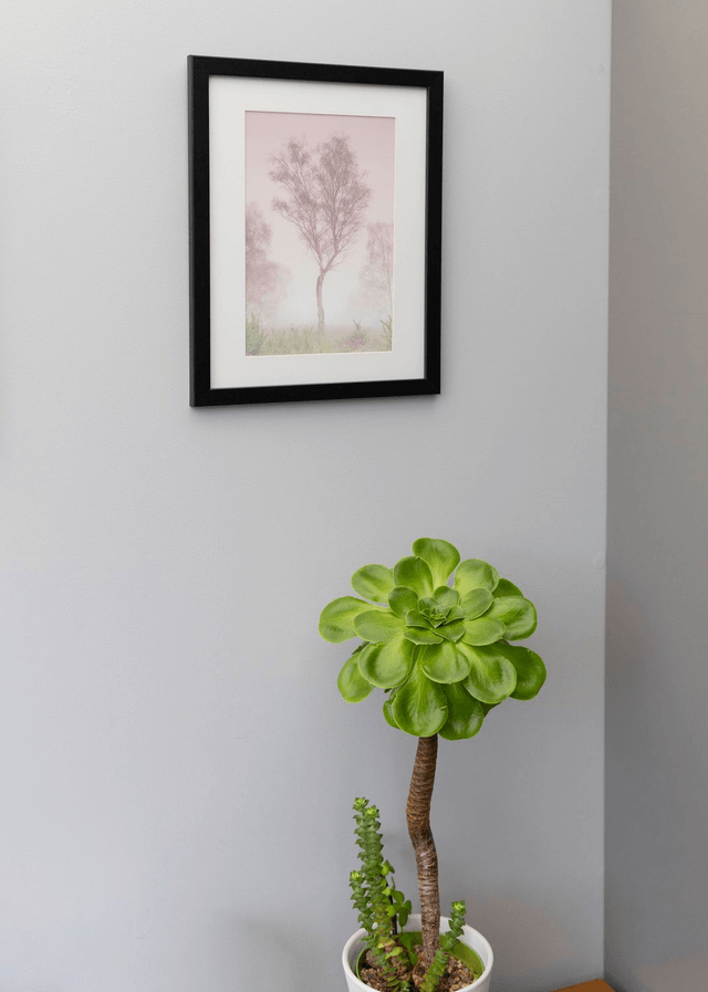 Pink Misty Tree