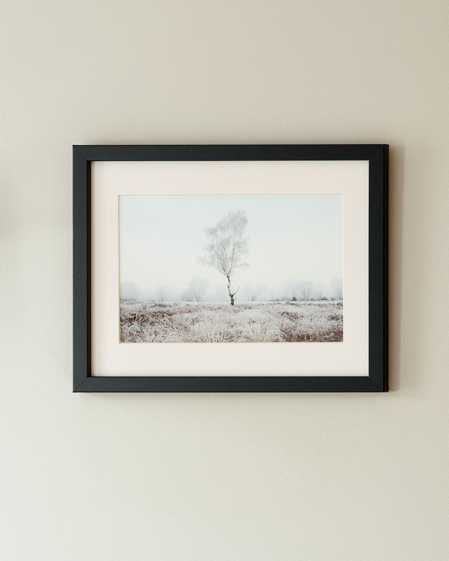 Hoar Frost Tree - Framed Print 15 ¼" x 12 ¼"