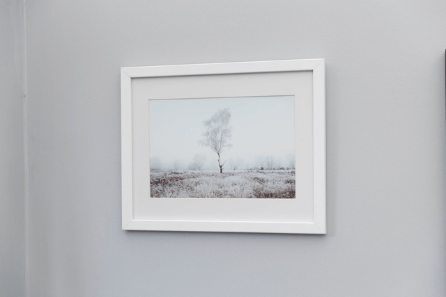 Hoar Frost Tree