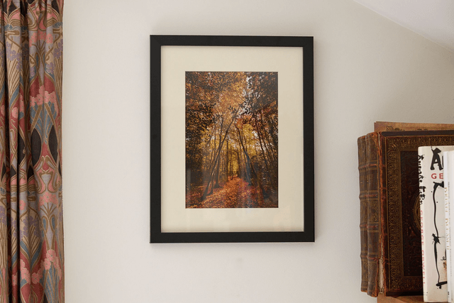 Archway To The Woodlands - Framed Print 15 ¼" x 12 ¼"