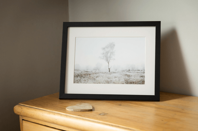 Hoar Frost Tree