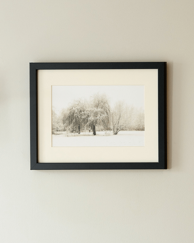 Whispers Of Winter - Framed Print 15 ¼" x 12 ¼"