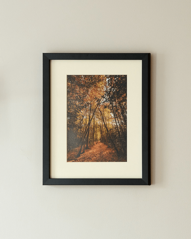 Archway To The Woodlands - Framed Print 15 ¼" x 12 ¼"