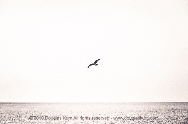 In flight, Skerries