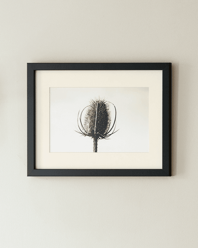 Teasle - Framed Print 15 ¼&quot; x 12 ¼&quot;