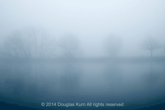 Misty Trees, Dumsey Meadow