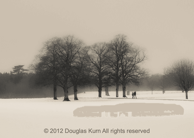 Blenheim Snow