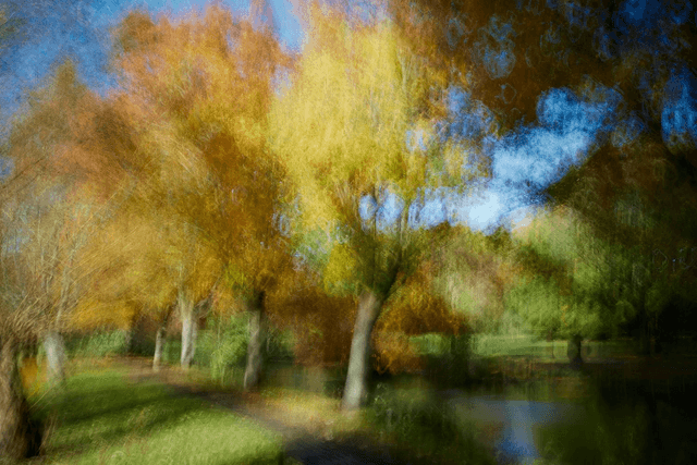 Autumnal Dreaming