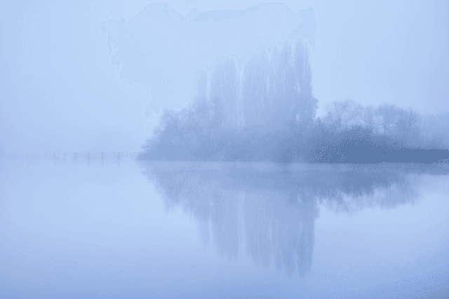 Misty Tree Reflection