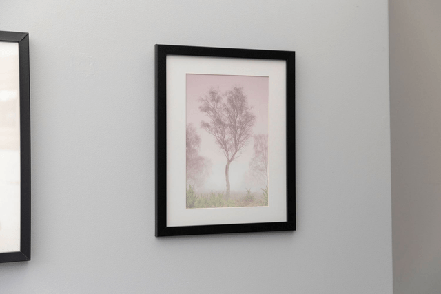 Pink Misty Tree